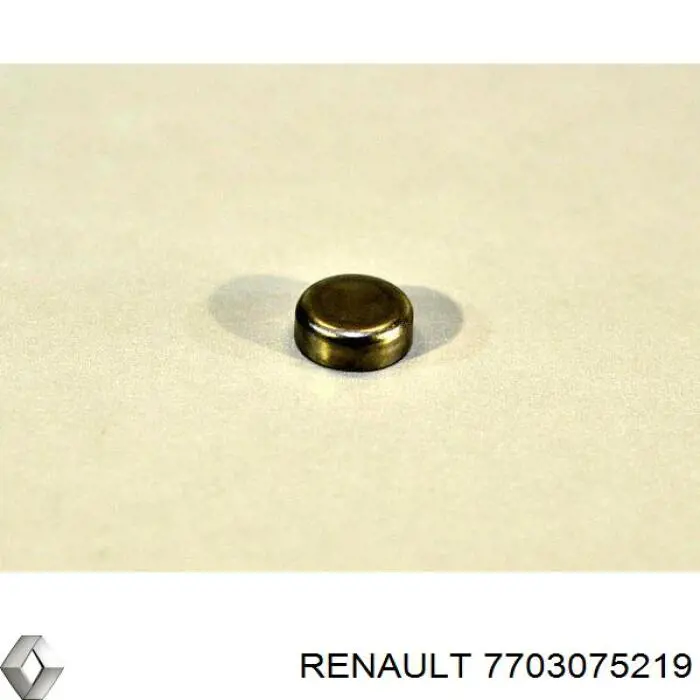 Заглушка ГБЦ/блоку циліндрів Renault (RVI) 7703075219 ціна, від 5.73 USD