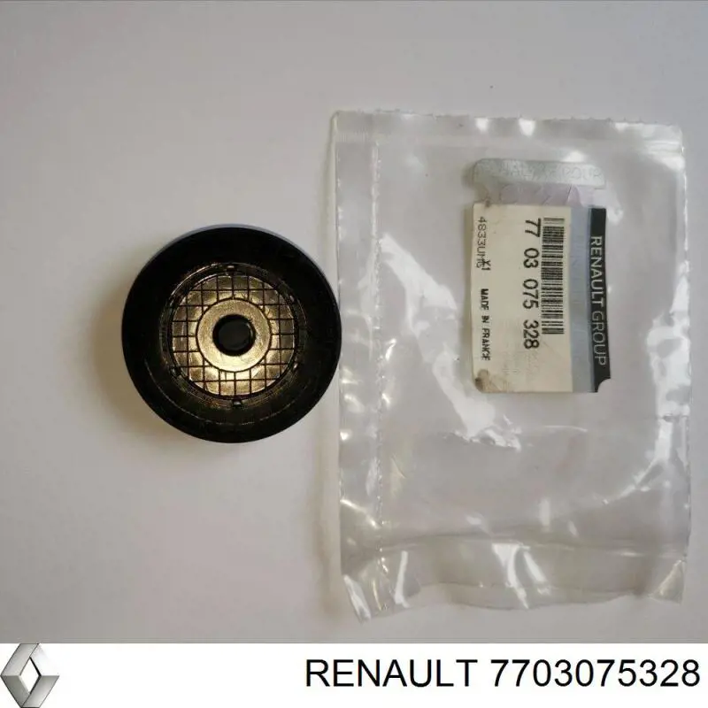 Купити 7703075328 Renault (RVI) Заглушка блоку циліндрів