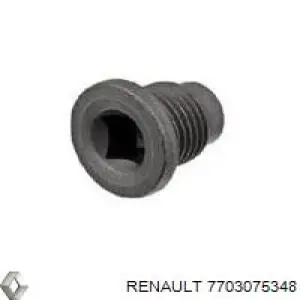 Пробка піддона двигуна Renault (RVI) 7703075348 ціна, від 2.07 USD