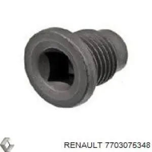 Купити 7703075348 Renault (RVI) Пробка піддона двигуна