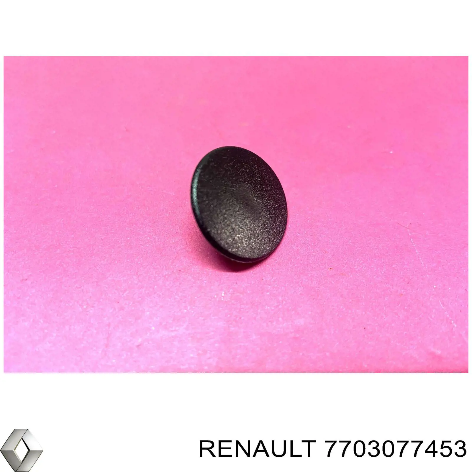  7703077453 Renault (RVI)