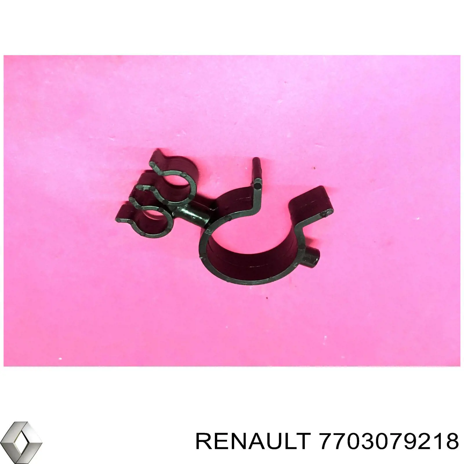  7703079218 Renault (RVI)