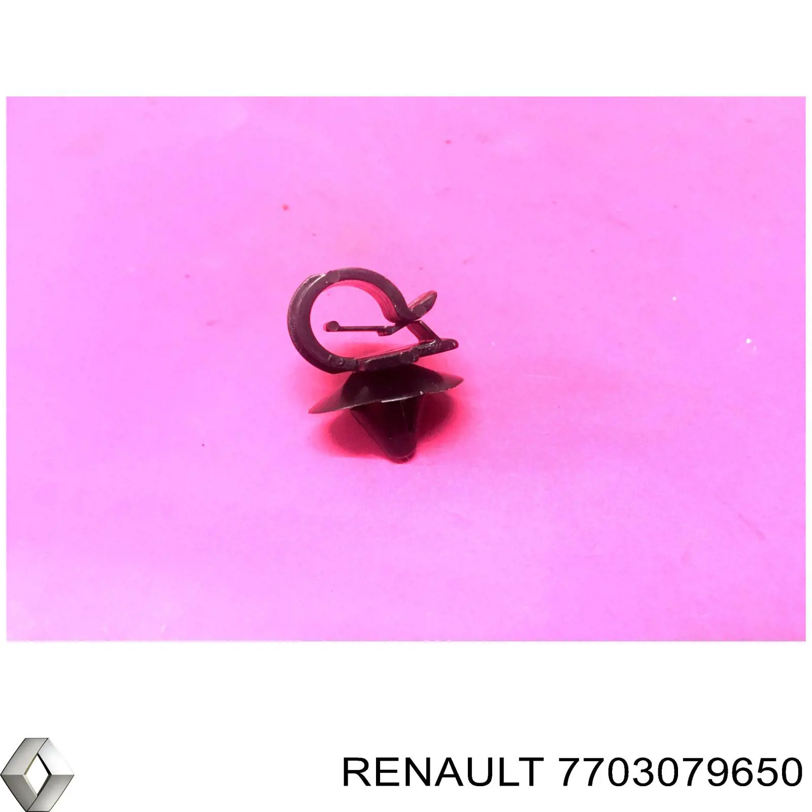  7703079650 Renault (RVI)