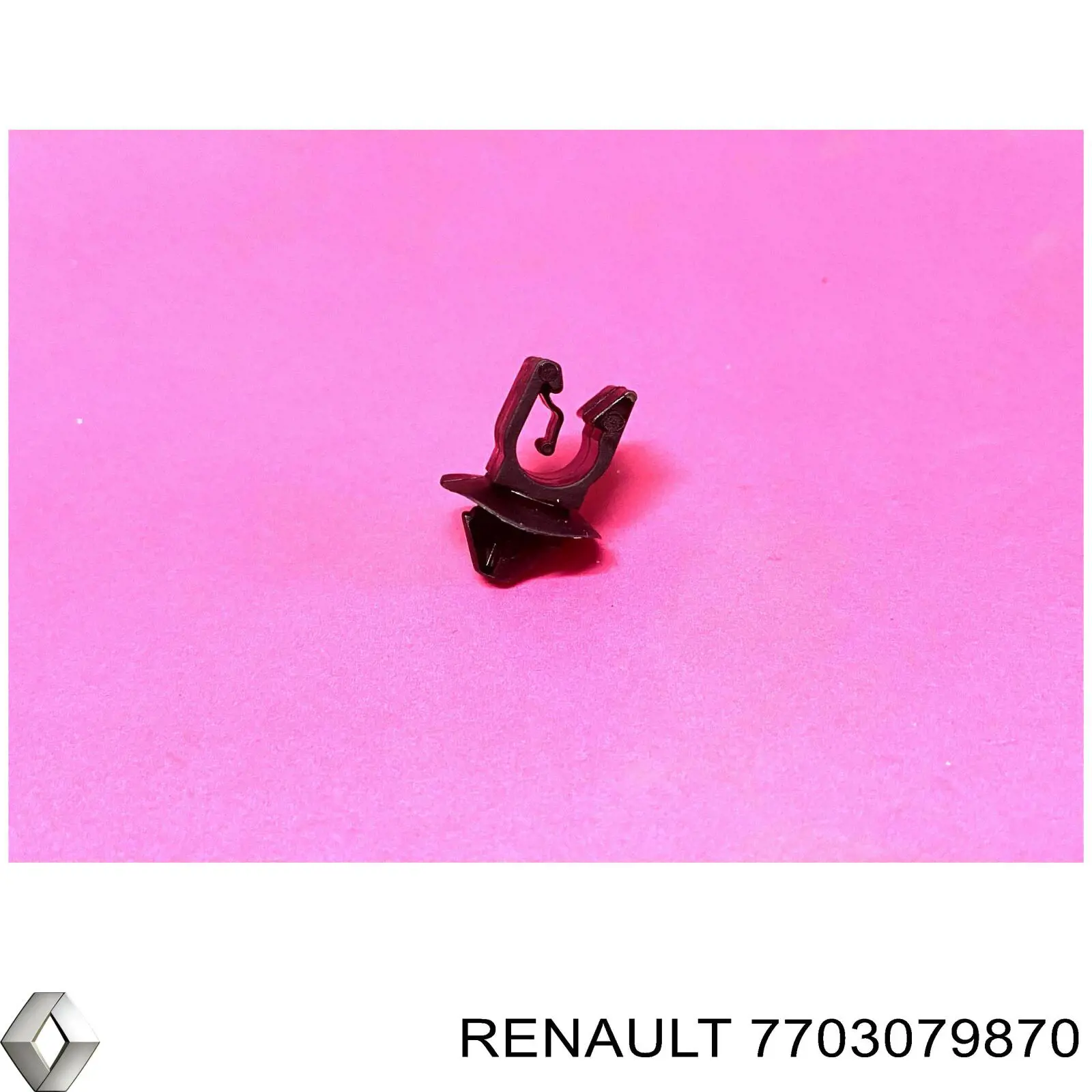 Затискач паливної трубки Renault (RVI) 7703079870 ціна, від 1.83 USD