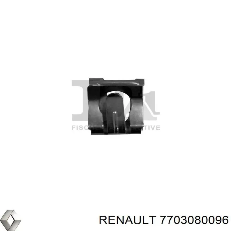  7703080096 Renault (RVI)