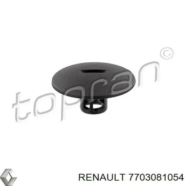 Пістон (кліп) кріплення підкрилки переднього крила 7703081054 Renault (RVI)