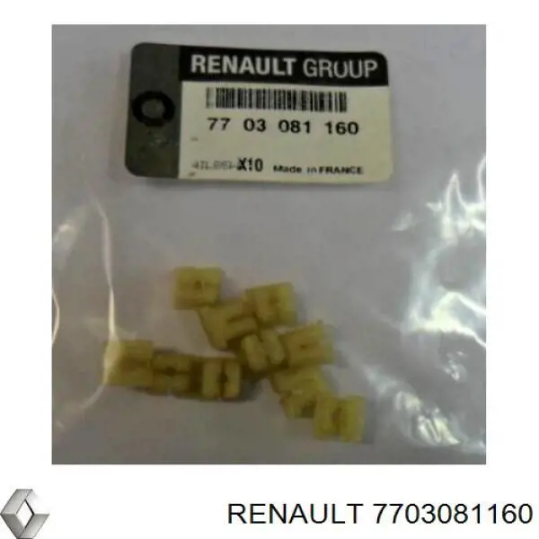 7703081160 Renault (RVI) 