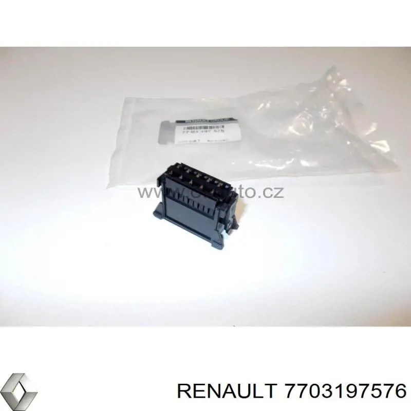  7703197576 Renault (RVI)