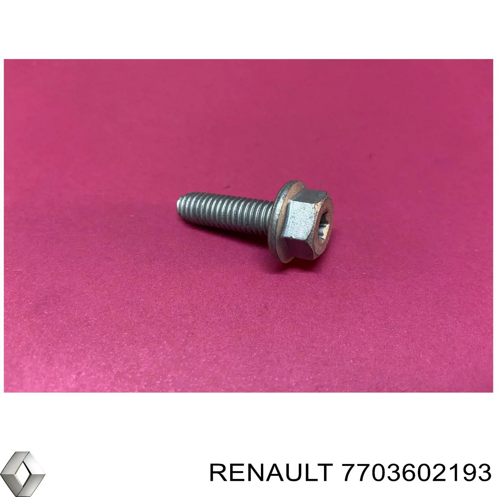  7703602193 Renault (RVI)