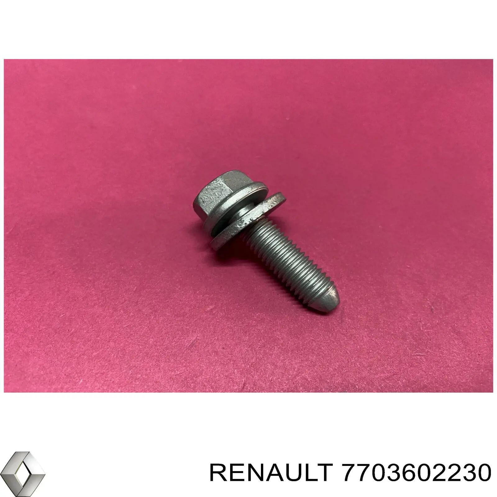  7703602230 Renault (RVI)