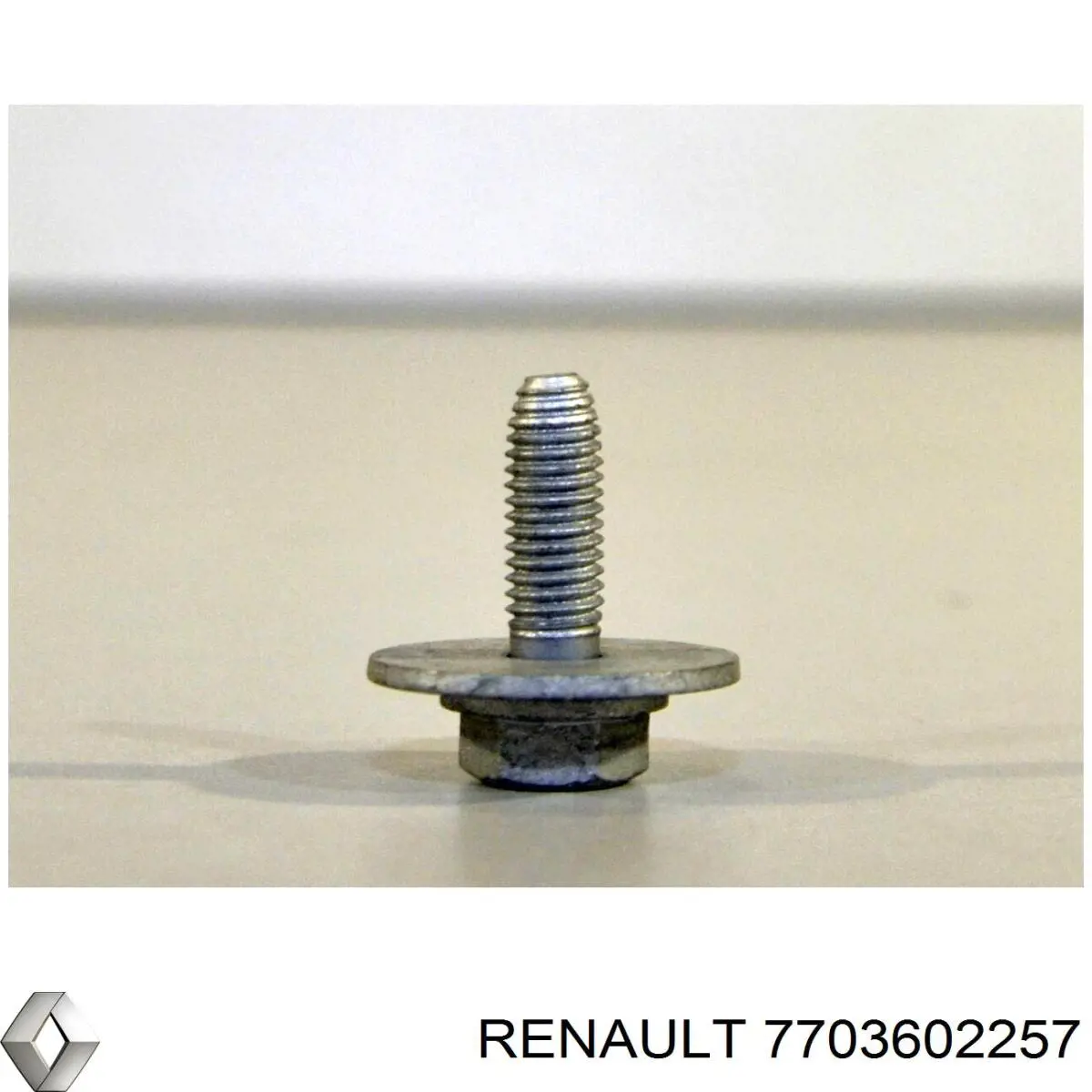 Болт кріплення заднього нижнього важеля Renault Kangoo (FC0) (Рено Канго)