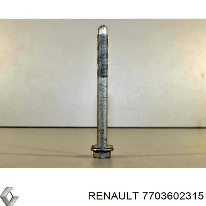  Renault (RVI) 7703602315