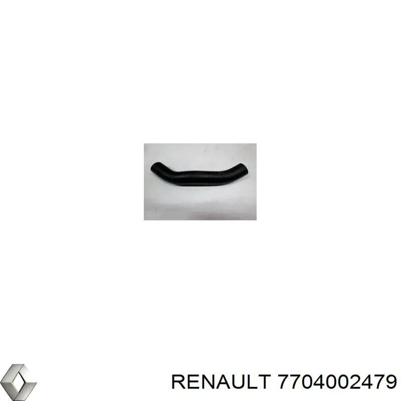  7704002479 Renault (RVI)