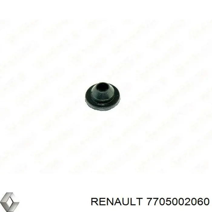 Купити 7705002060 Renault (RVI) Ущільнююче кільце насоса омивача