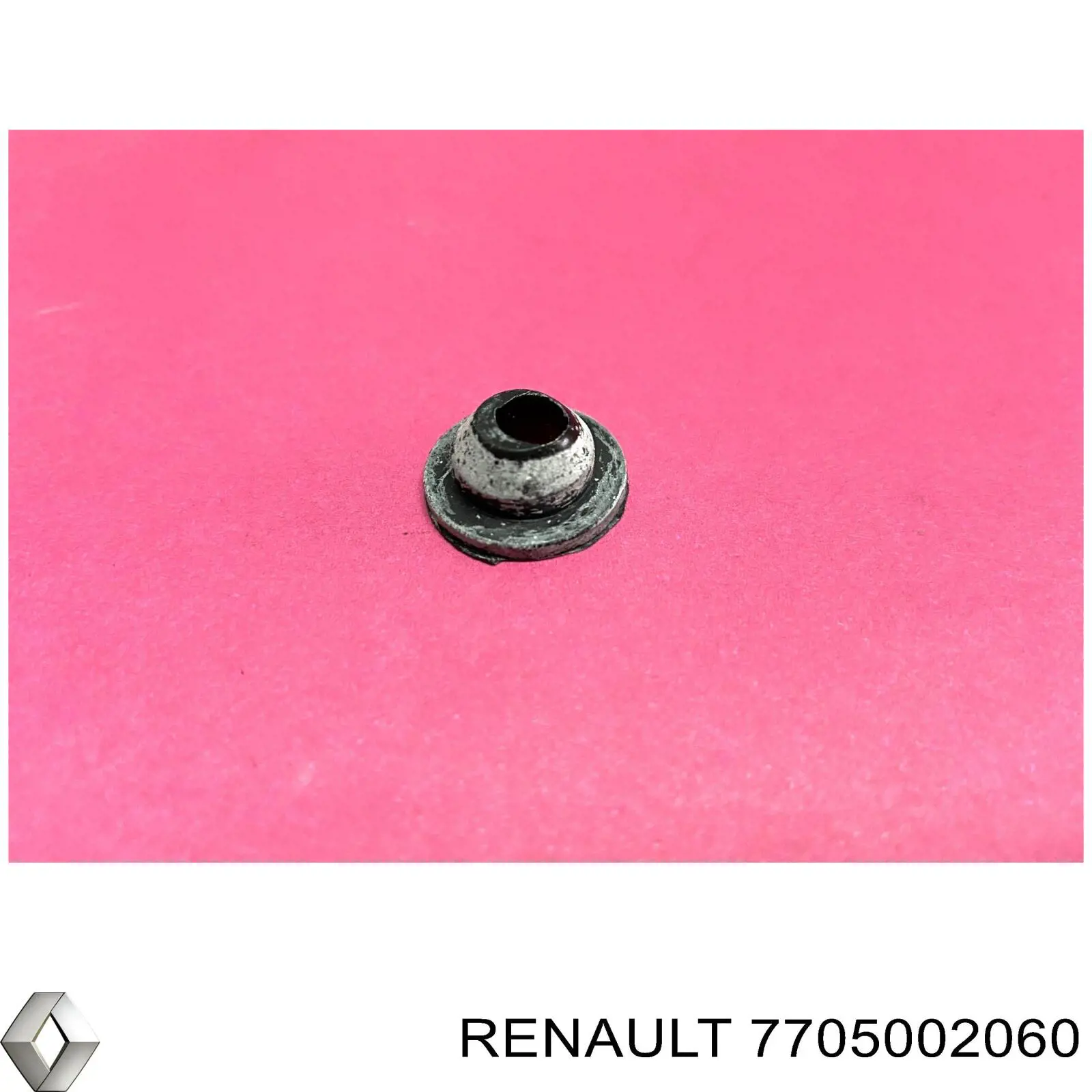 Ущільнююче кільце насоса омивача Renault (RVI) 7705002060 ціна, від 3.92 USD