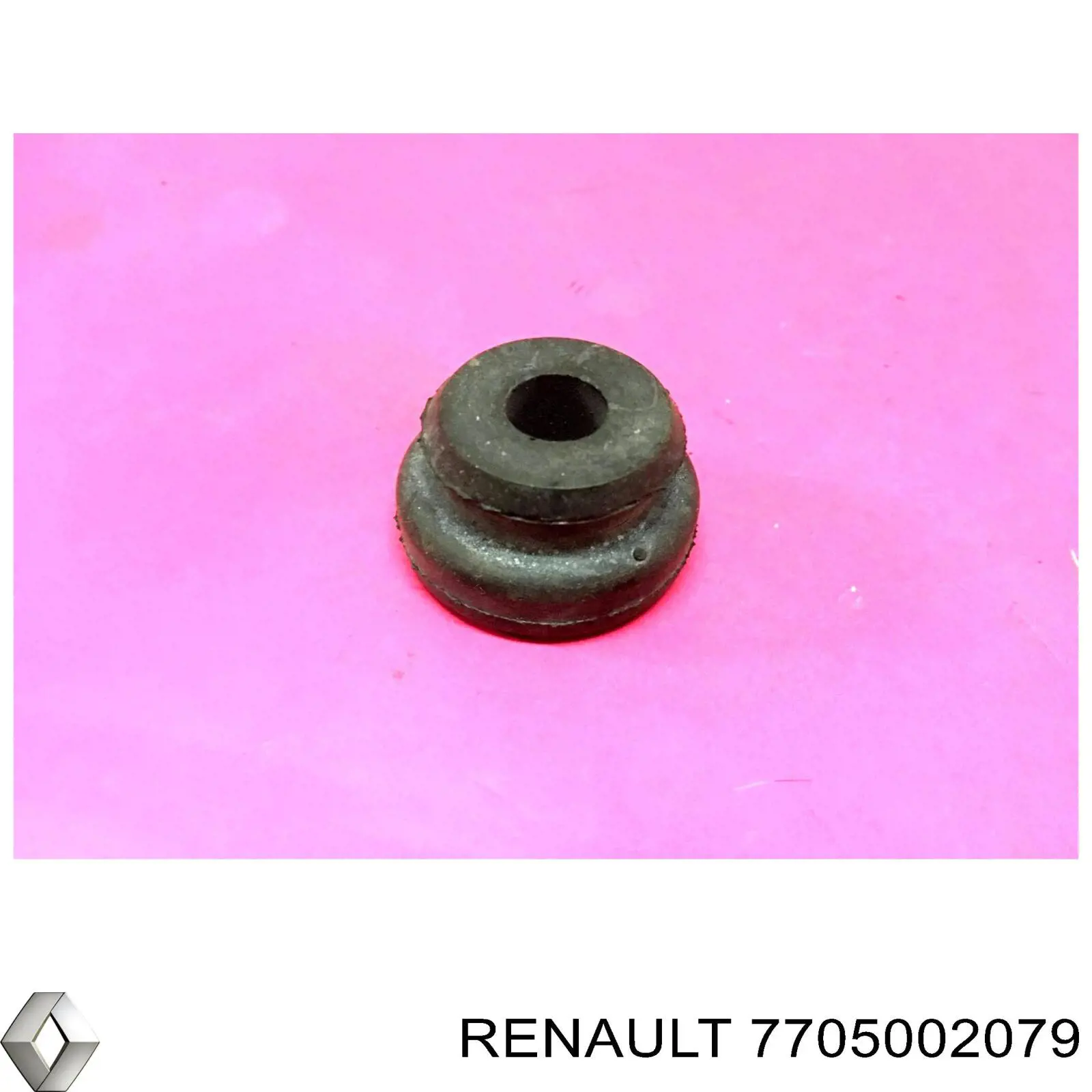  7705002079 Renault (RVI)