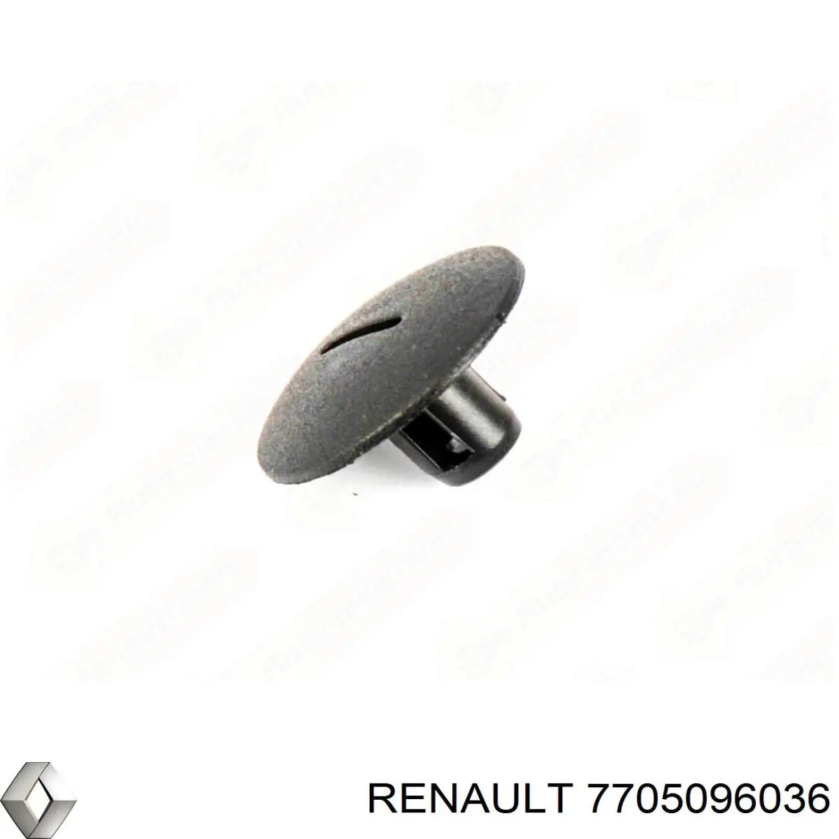7705096036 Renault (RVI) Пістон (кліп) кріплення підкрилки переднього крила