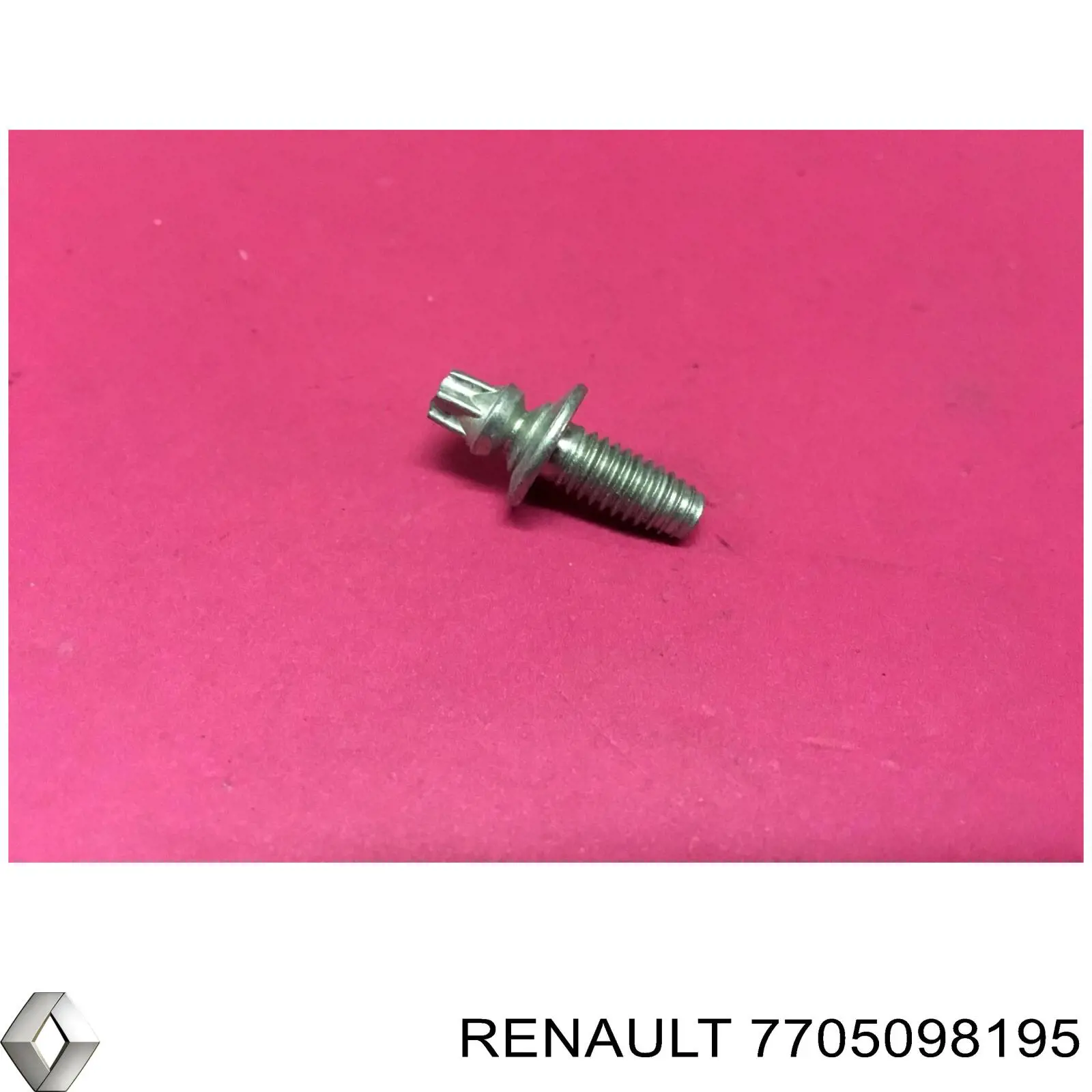  7705098195 Renault (RVI)