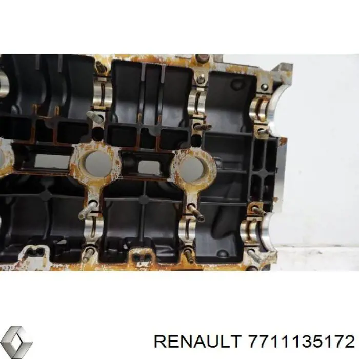  7711135172 Renault (RVI)