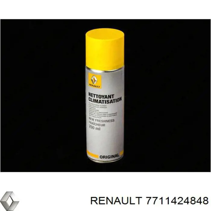 Очищувач системи кондиціонування 7711424848 Renault (RVI)