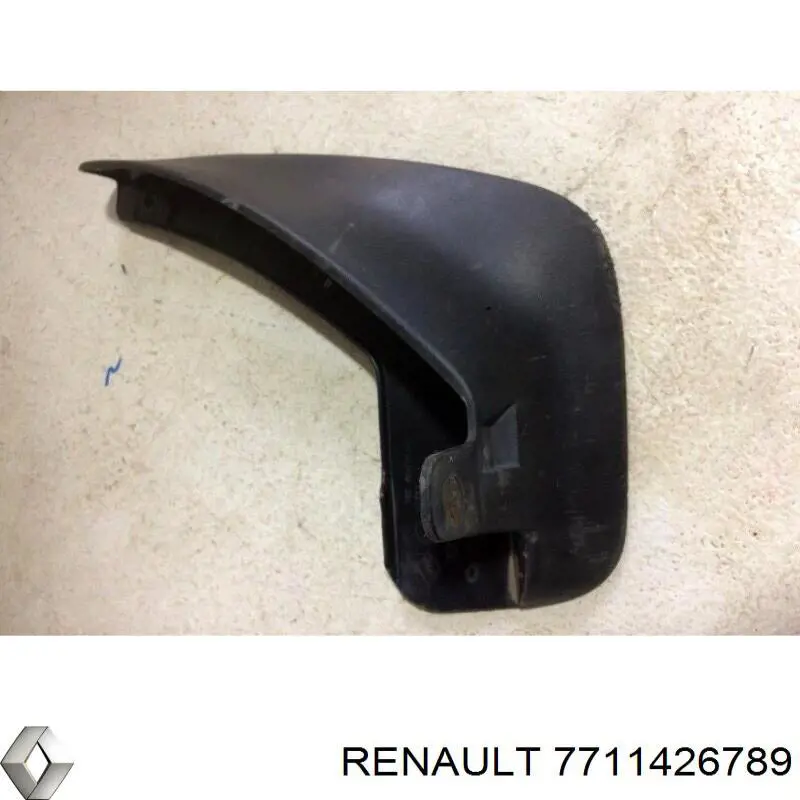 Бризковики задні, комплект Renault Fluence (L3) (Рено Флюенс)