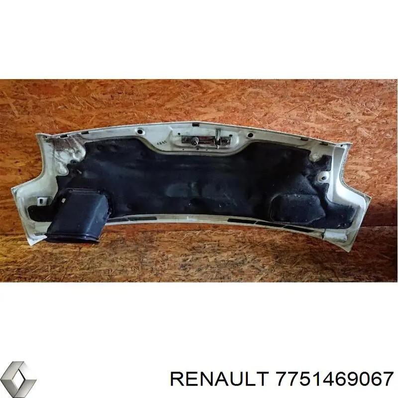 Капот Renault (RVI) 7751469067 ціна, від 88.68 USD