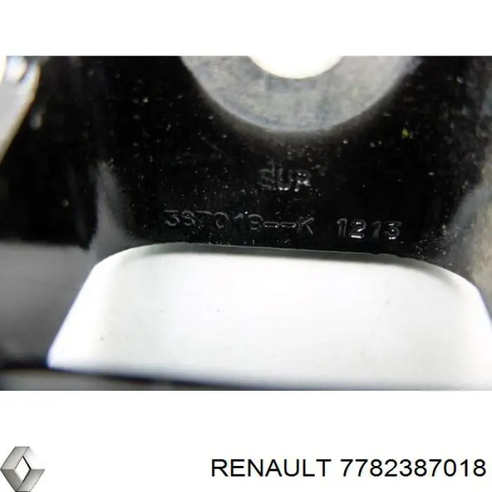 Петля передніх дверей Renault (RVI) 804010770R