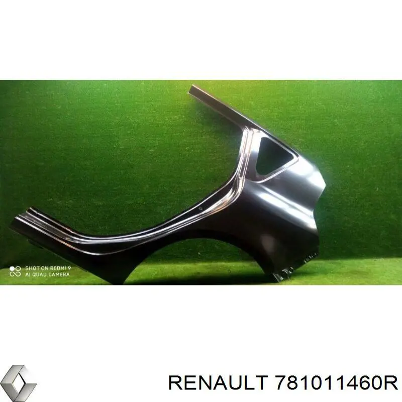781011460R Renault (RVI) крило заднє ліве