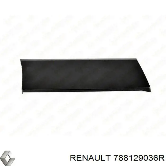 Накладка заднього правого крила Renault Trafic 3 (EG) (Рено Трафік)