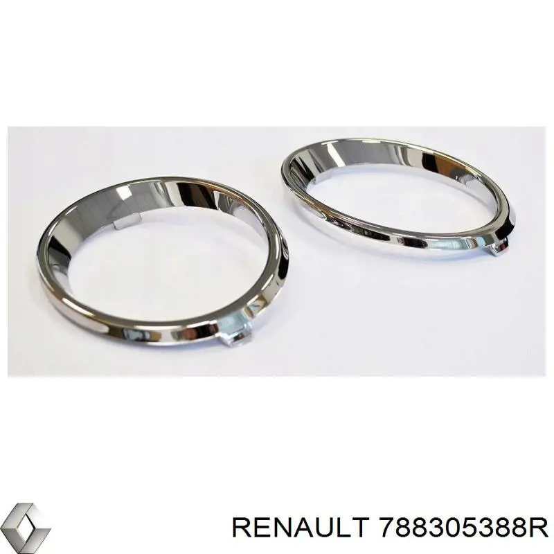  Renault (RVI) 788305388R ціна, від 315.37 USD