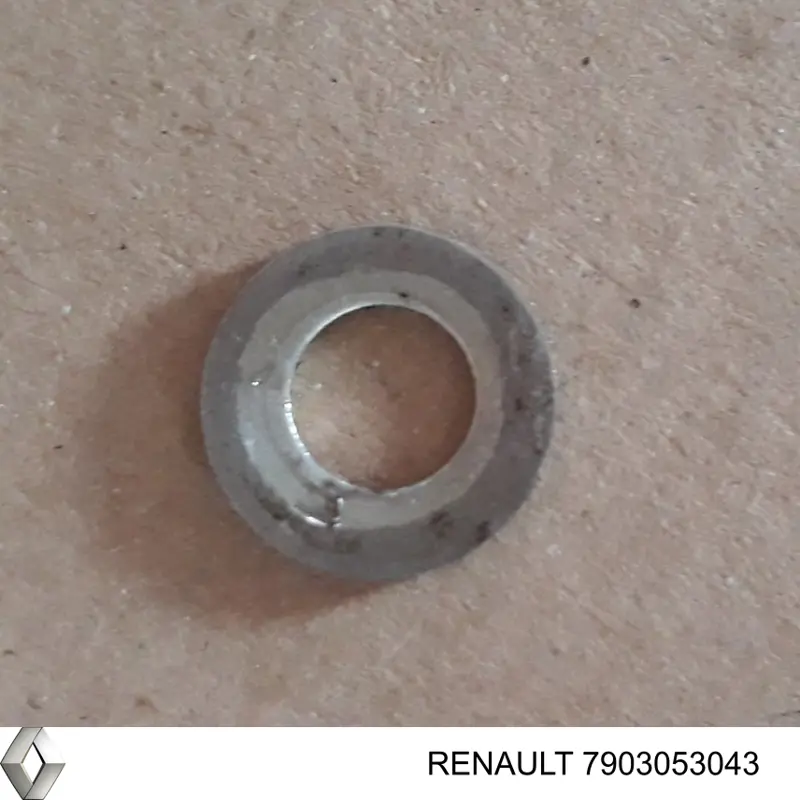 Шайба форсунки верхня Renault (RVI) 7903053043 ціна, від 0.51 USD