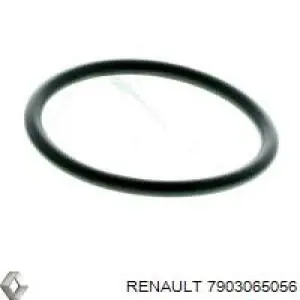 7903065056 Renault (RVI) прокладка впускного колектора
