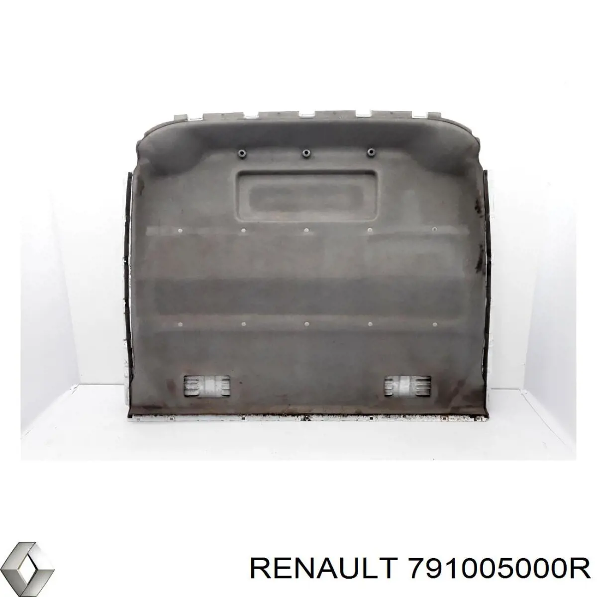  791005000R Renault (RVI)