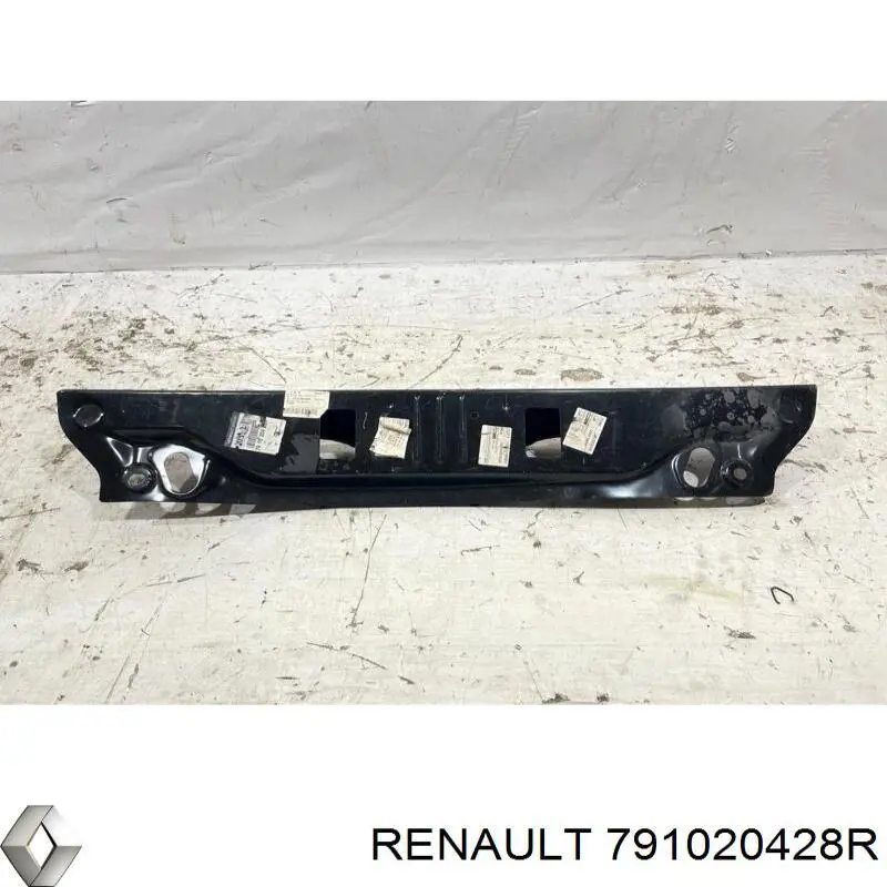  Renault (RVI) 791020428R ціна, від 226.62 USD