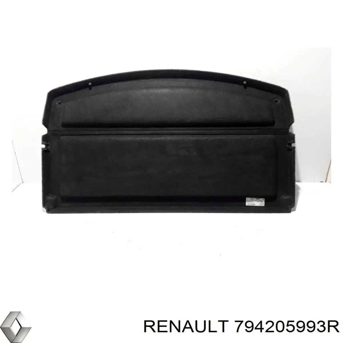 Купити 794205993R Renault (RVI) 