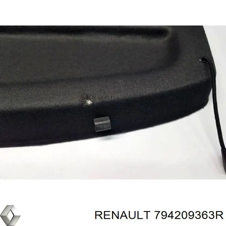 Купити 794209363R Renault (RVI) 