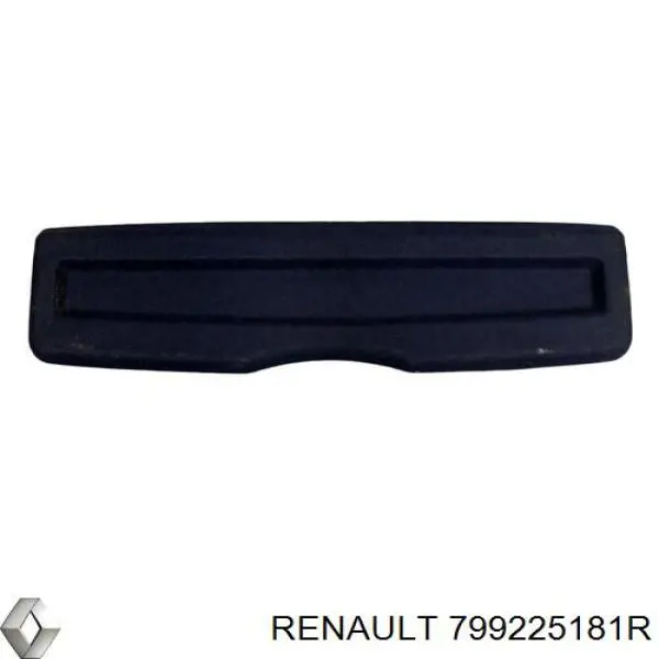 799225181R Renault (RVI) 