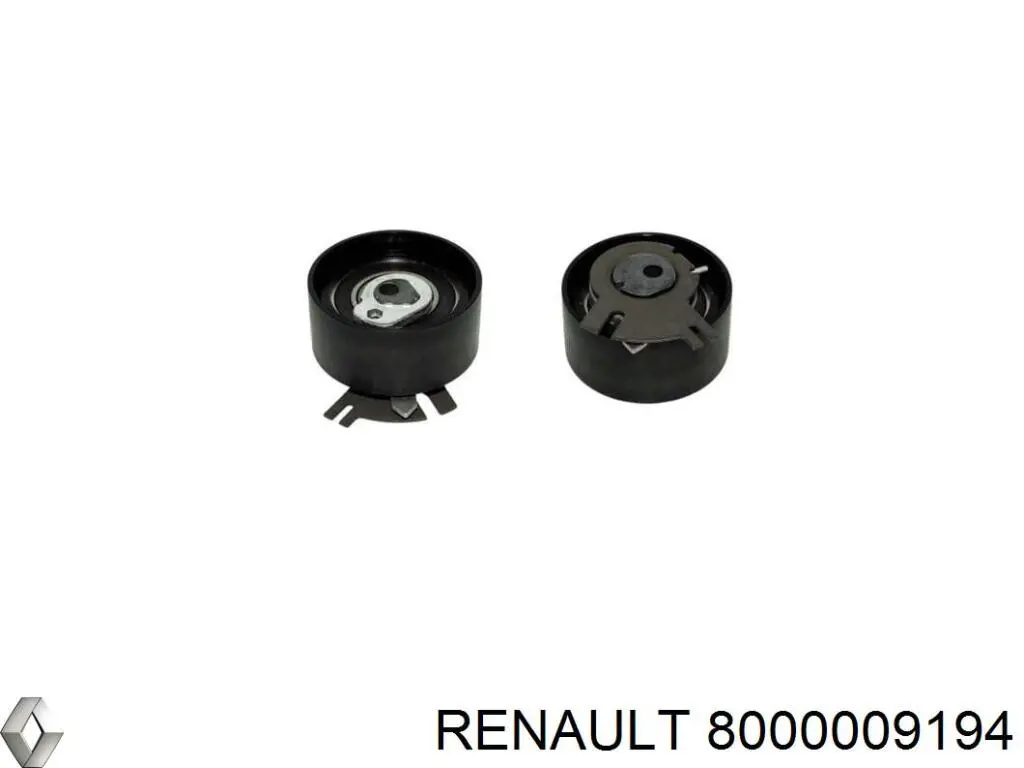  8000009194 Renault (RVI)