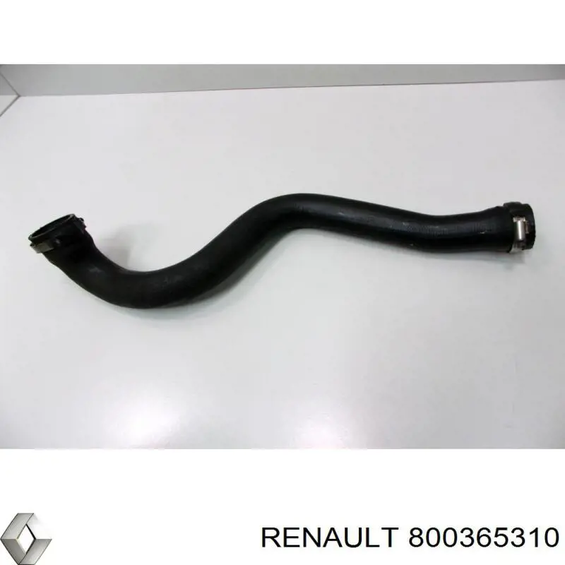 800365310 Renault (RVI) 