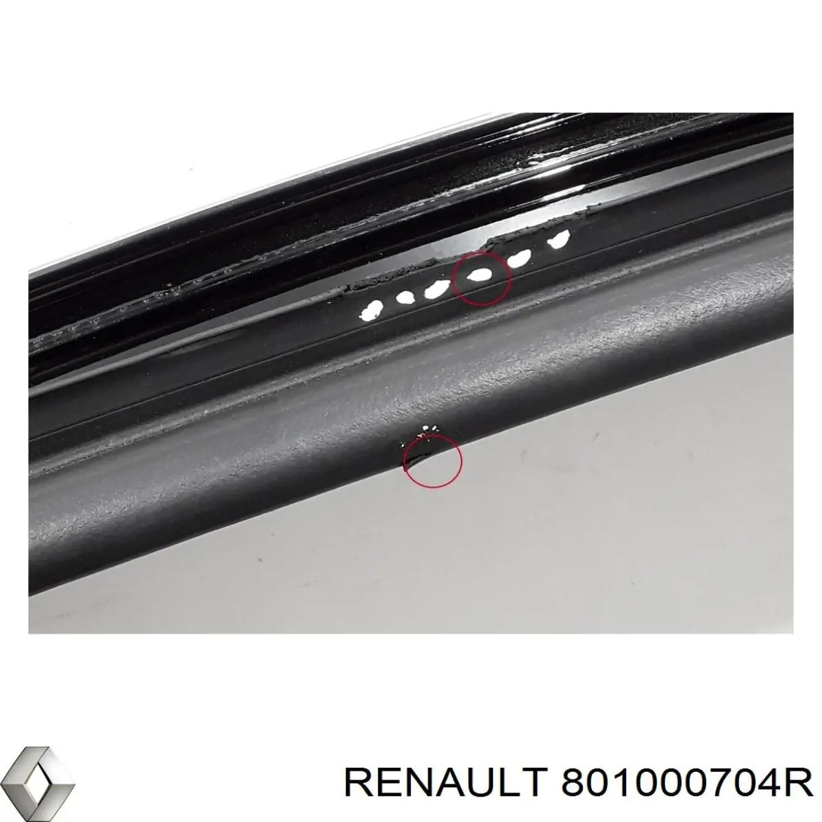 Двері праві передні 801000704R Renault (RVI)