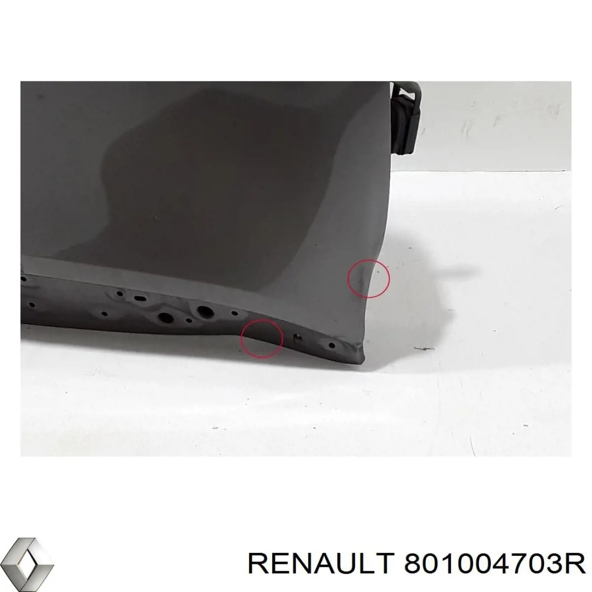 Двері передні, праві Renault (RVI) 801004703R ціна, від 126.12 USD