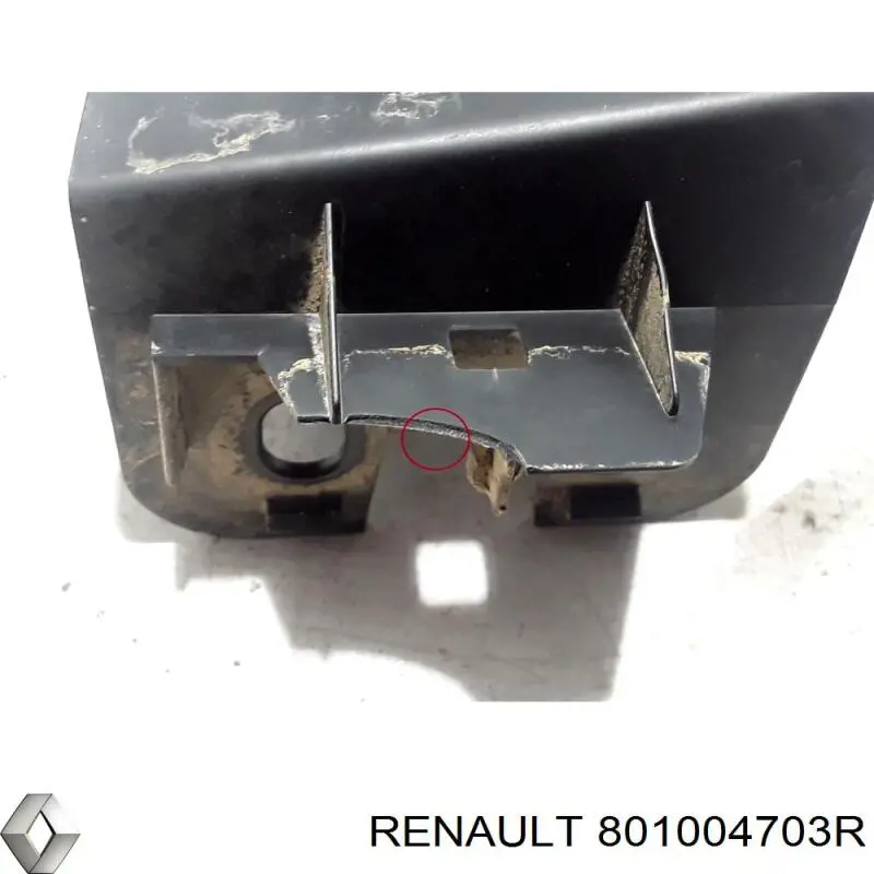 Купити 801004703R Renault (RVI) Двері праві передні