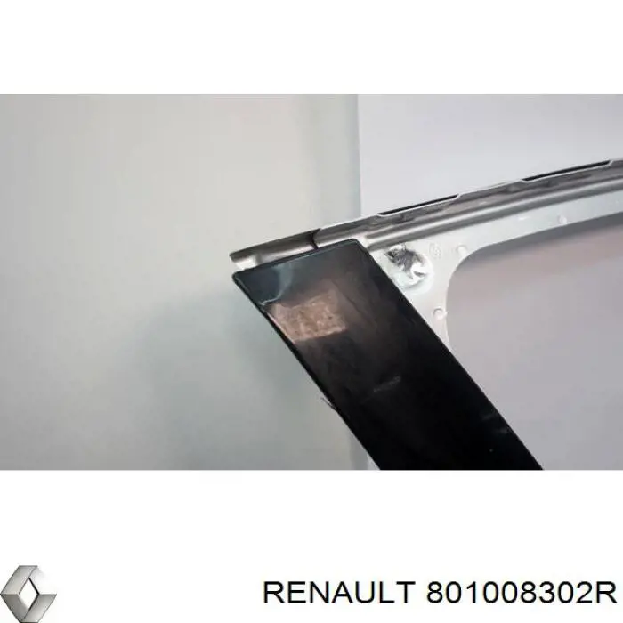 Двері передні, праві Renault (RVI) 801008302R ціна, від 126.83 USD