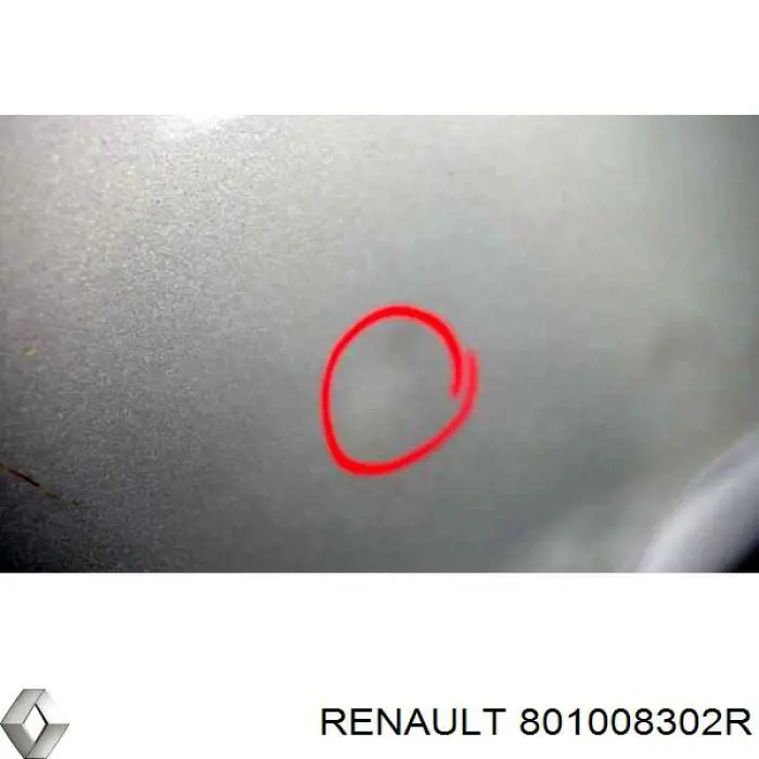 Купити 801008302R Renault (RVI) Двері праві передні