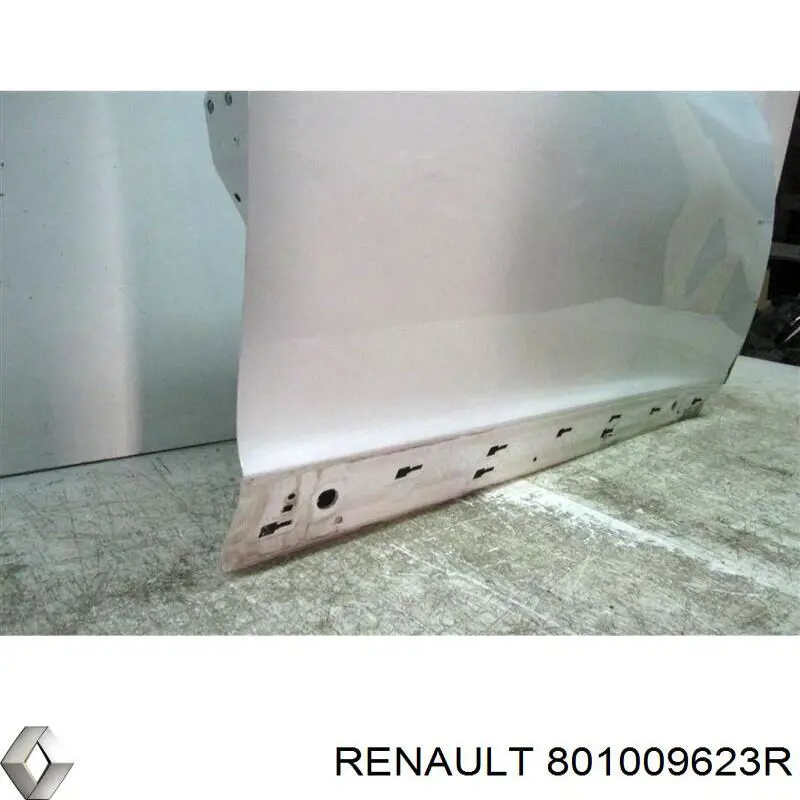  801009623R Renault (RVI)