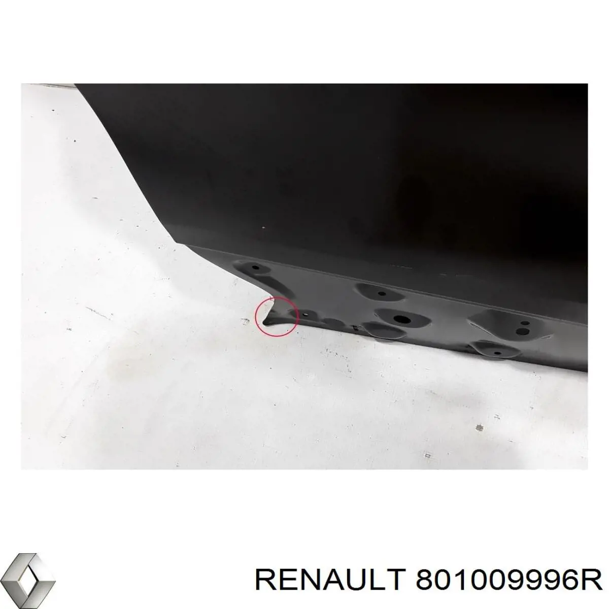 Двері праві передні 801009996R Renault (RVI)