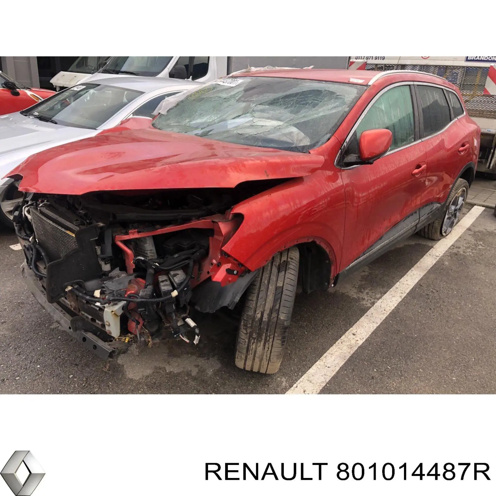 Водійські двері Renault (RVI) 801014487R
