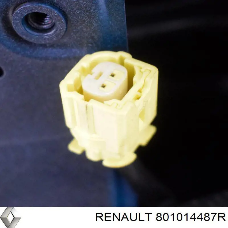 Купити 801014487R Renault (RVI) Двері кабіни