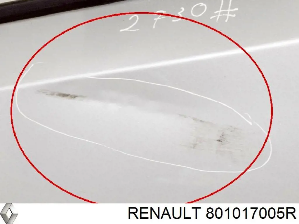 Двері передні, ліві Renault (RVI) 801017005R ціна, від 169.11 USD