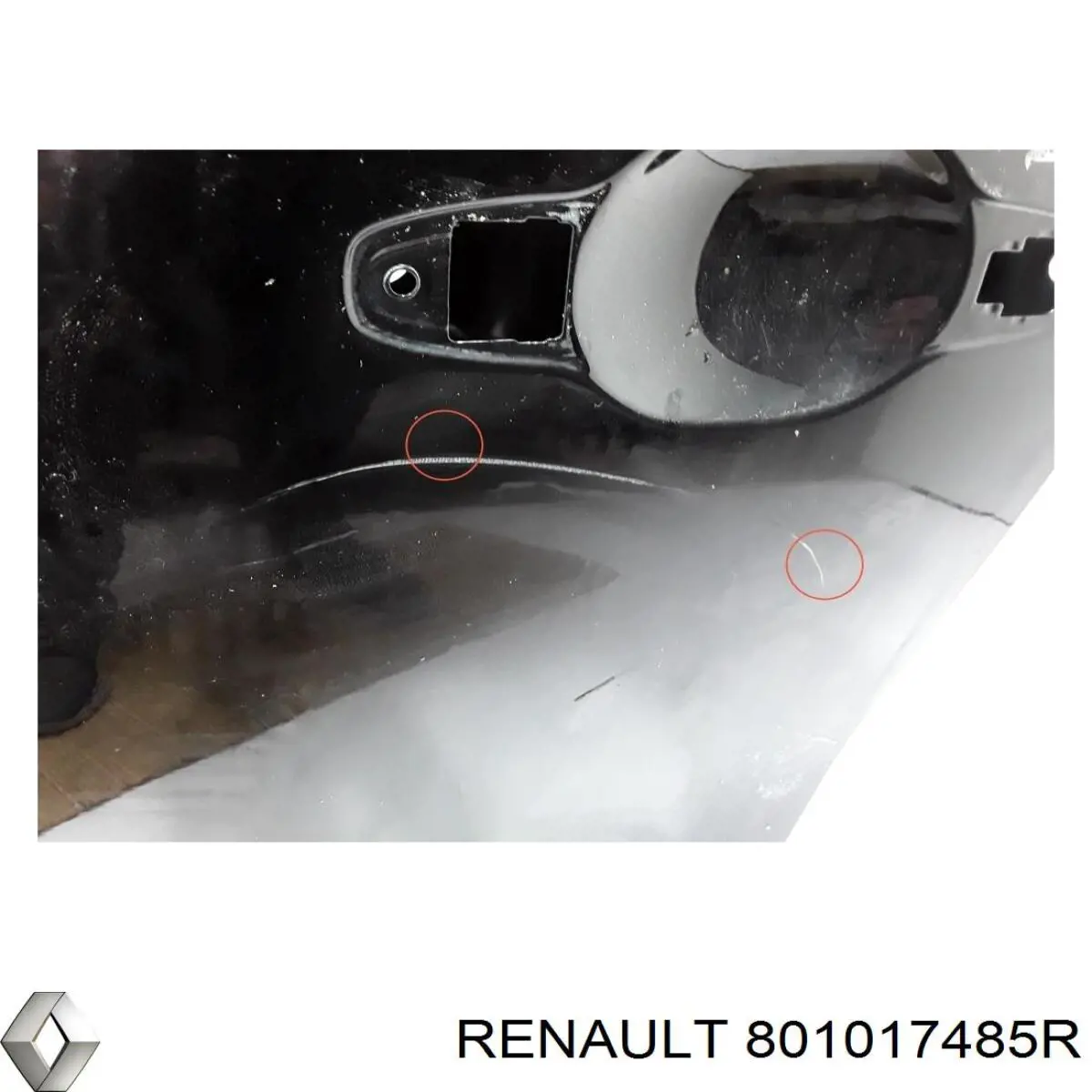 Двері передні ліві 801017485R Renault (RVI)